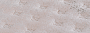 Soft - Görsel 2