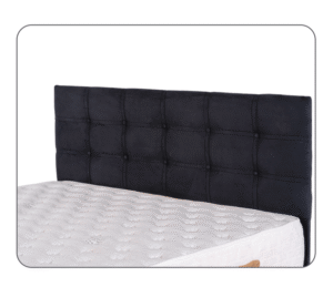 Standart Başlık